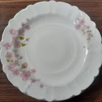 سرویس آکوروپال