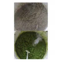 سبزی خورشتی