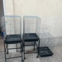 قفس پرنده