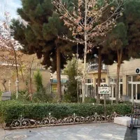 استخدام شاگرد مغازه