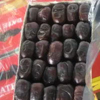 خرما مضافتی بم منطقه دهشتر حمزه ای