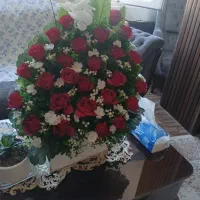 گل خاستگاری