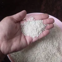 شاه برنج هاشمی