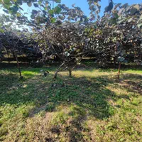 زمینی به مساحت 1400 متر مسکونی