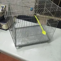 قفس سره سایز 3