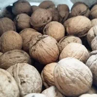 گردو|عمده‌فروشی|قیدار, |دیوار