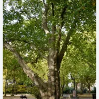 به یک زوج برای سرایداری نیازمندیم
