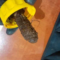 سرویس پکیج و  آبگرمکن دیواری|خدمات پیشه و مهارت|اندیشه, اندیشه فاز ۱|دیوار