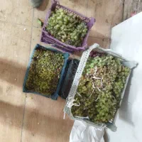 مغازه اجاره ای خیابون وحدت