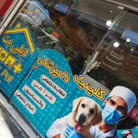 منشی و فروشنده کلینیک دامپزشکی