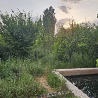 800مترزمین در اندرخ|فروش زمین و ملک کلنگی|مشهد, موسوی قوچانی|دیوار