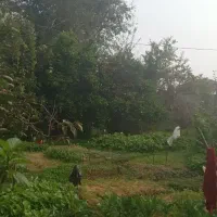 خانه محوطه دوبلکس دوخوابه|فروش خانه و ویلا|احمدسرگوراب, |دیوار