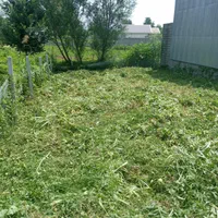 علف زنی با دستگاه|خدمات باغبانی و درختکاری|رشت, پل تالشان|دیوار