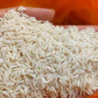 برنج طارم هشمی