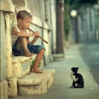 کار در دفتر