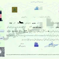 مدرک دیپلم ،کاردانی.تا ارشد|خدمات آموزشی|سنندج, |دیوار