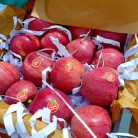 کارگر واسه سیب چینی نیاز مند هستیم