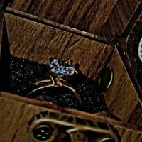 انگشتر دخترانه رنگ ثابت نگین دار