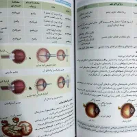 جمع بندی کامل زیست شناسی دهم، یازدهم و دوازدهم|کتاب و مجله آموزشی|پرند, فاز ۴|دیوار