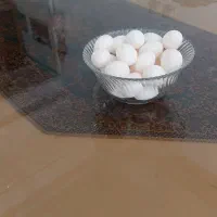 تخم کبوتر برا فروش