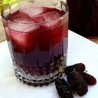 شربت|خوردنی و آشامیدنی|گناباد, |دیوار