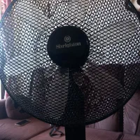 پنکه مارک shrighton