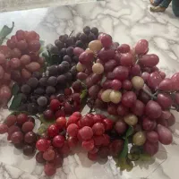 خوشه انگور خارجی قابل شستشودر حد نو|گل مصنوعی|تهران, تهرانپارس غربی|دیوار