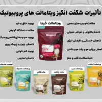 قهوه سبز چربی سوز،نوشیدنی کامبوچا