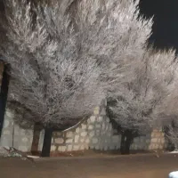 فروش-باغ