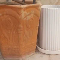 گلدان گل سفالی|گل و گیاه طبیعی|شیراز, شهرک مفتح|دیوار