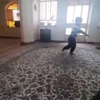 فروش ۲ عدد فرش ۱۲ متری