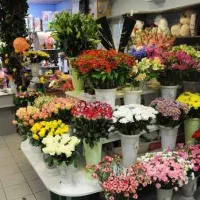 اجاره-مغازه-گل-فروشی-دکوریجات-اکسسوری