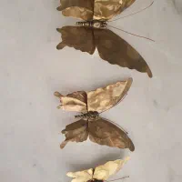 تعدادی وسایل برنزی|مجسمه، تندیس، ماکت|کرمانشاه, |دیوار