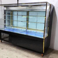 یخچال ایستاده فریزر مکعبی آبسردکن قصابی