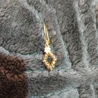 یک لنگ گوشواره گم شده