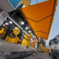 سایبان بازویی ، کرکره برقی، دوربین مداربسته