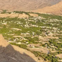 زمین-در-نیاسر