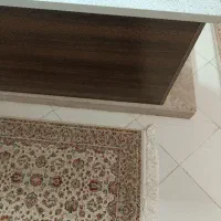 پیدا شده عینک آفتابی گمشده