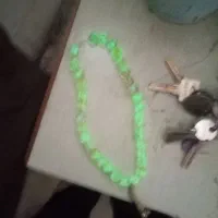 تسبیح شب نما