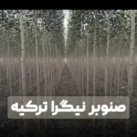 کاوه+میوه در انوع مختلف