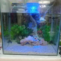 اکواریوم کامل فول فول ۵۰در ۵۰