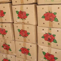 پخش ادویه جات عمده و خرده امید سبلان گلها|عمدهفروشی|تهران, بازار|دیوار