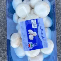 پخش قارچ|خوردنی و آشامیدنی|تربت جام, جامرود|دیوار