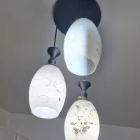 لوسترسه شاخه