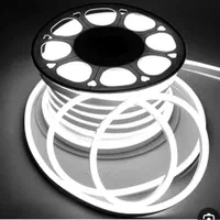 ریسه شلنگی وایرلس و ۱۷ رنگ و ریسه شلنگی نئون فلکسی