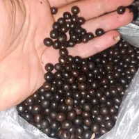 دانه یسر ۱۳۵۰عدانه یسری ۱۳تا ۱۰۱تایی ۶۰۰تومن
