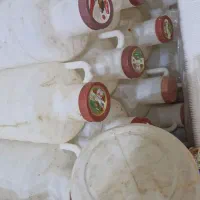 دبه یا گالن خیارشور