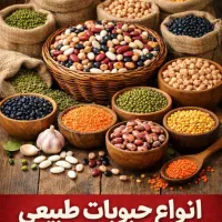 حبوبات ارزان باکیفیت و برنج با کالا برگ