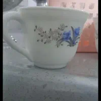 فنجان