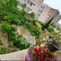 جنوبی رو به آفتاب * خوش نقشه * بدون مشابه|فروش آپارتمان|کرج, باغستان|دیوار